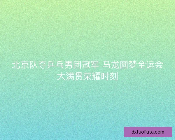 北京队夺乒乓男团冠军 马龙圆梦全运会大满贯荣耀时刻 北京队夺乒乓男团冠军 马龙圆梦全运会大满贯荣耀时刻