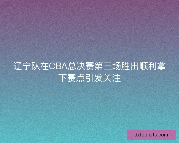 辽宁队在CBA总决赛第三场胜出顺利拿下赛点引发关注