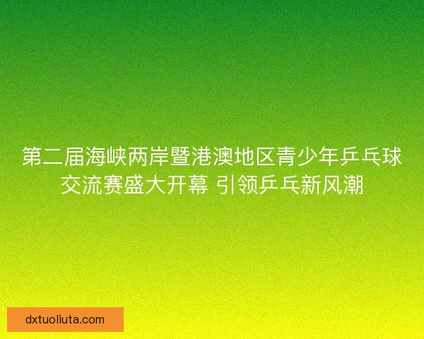 第二届海峡两岸暨港澳地区青少年乒乓球交流赛盛大开幕 引领乒乓新风潮